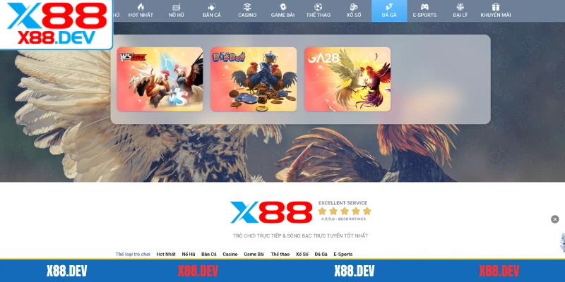 Đá gà X88 cá cược chọi kê trực tuyến uy tín